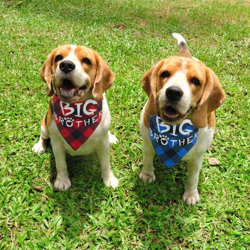 PAWCHIE - Bandana para perro (2 unidades), diseño de cuadros, color rojo y azul