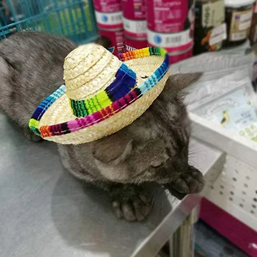 Kitatayi Sombrero para perro, sombrero de paja pequeño, sombreros mexicanos, sombreros de fiesta sombrero para mascotas pequeñas/cachorros/gato