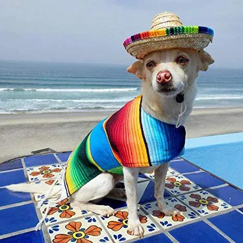 Kitatayi Sombrero para perro, sombrero de paja pequeño, sombreros mexicanos, sombreros de fiesta sombrero para mascotas pequeñas/cachorros/gato