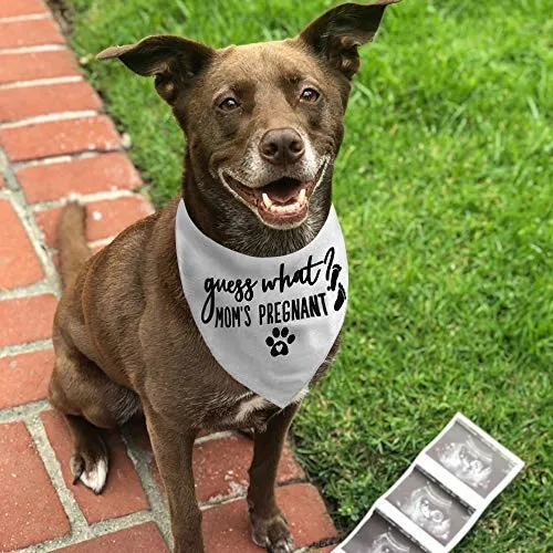 JPB ¿Adivina qué? Mi mamá está embarazada, anuncio de embarazo perro bandana