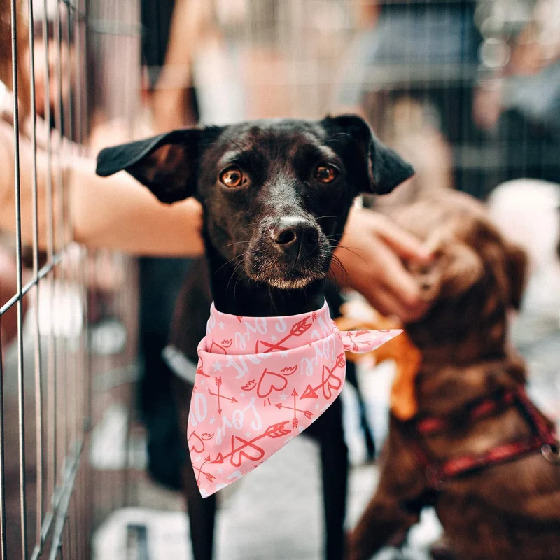 3 Pieces Dog Bandana Heart Dog Bandanas Scarf Washable Pet Scarf Valentine's Day Dog Kerchief for Dogs Cats Pets Festival Accessories, Red Black Pink