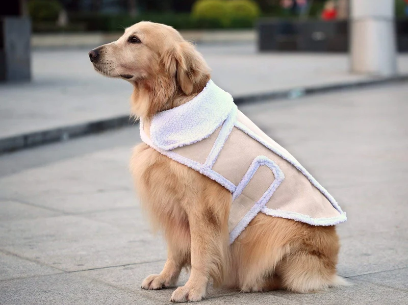 Namsan Abrigo para perro abrigado, chaqueta de perro, ropa de perro de invierno