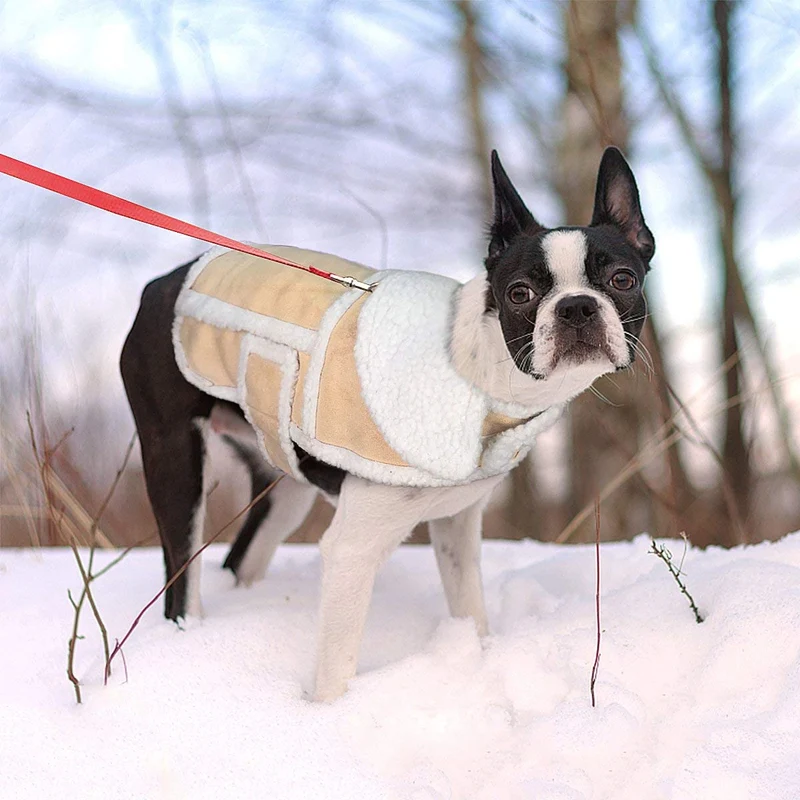 Namsan Abrigo para perro abrigado, chaqueta de perro, ropa de perro de invierno
