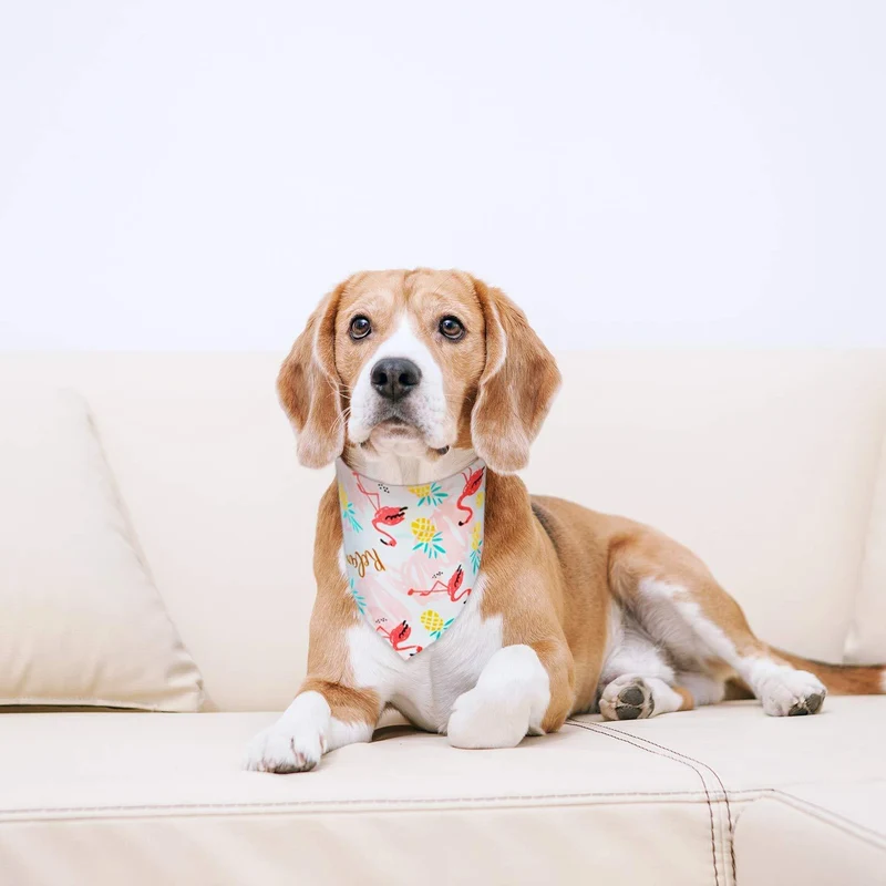 6 piezas de bandanas para perro con estampado de cuadros, estilo de flamenco de selva, bufanda ajustable lavable para mascotas