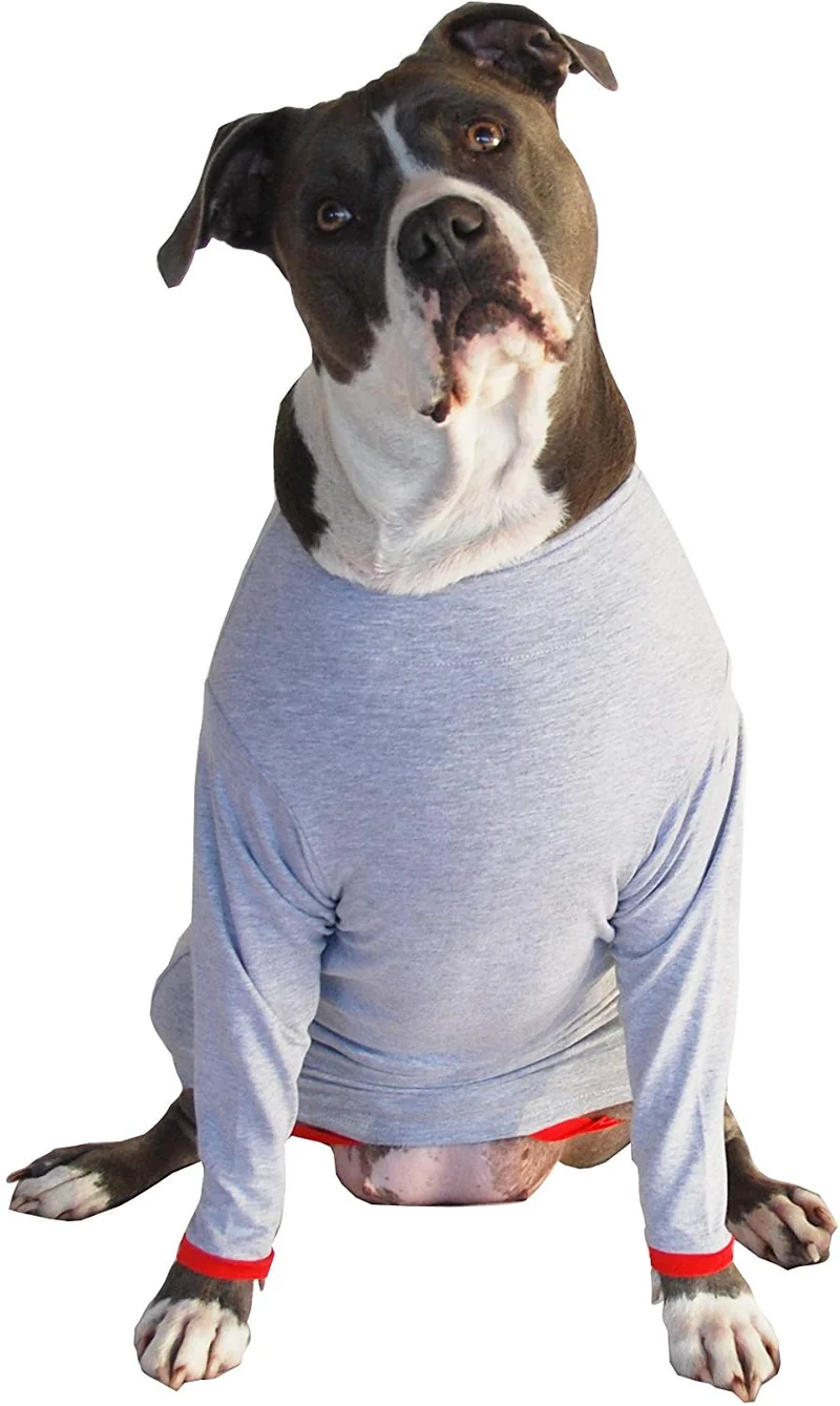 Camiseta de protección post operatoria para perros, mejor que el cono La alternativa más cómoda para recuperación.