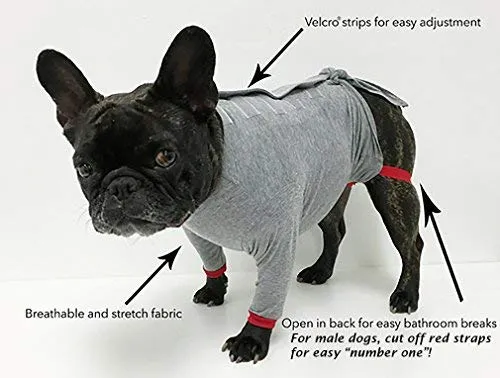 Camiseta de protección post operatoria para perros, mejor que el cono La alternativa más cómoda para recuperación.