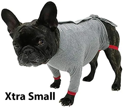 Camiseta de protección post operatoria para perros, mejor que el cono La alternativa más cómoda para recuperación.