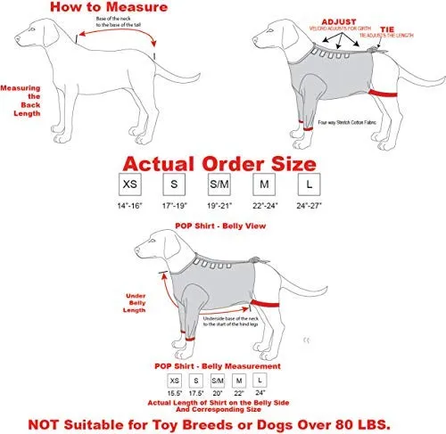 Camiseta de protección post operatoria para perros, mejor que el cono La alternativa más cómoda para recuperación.