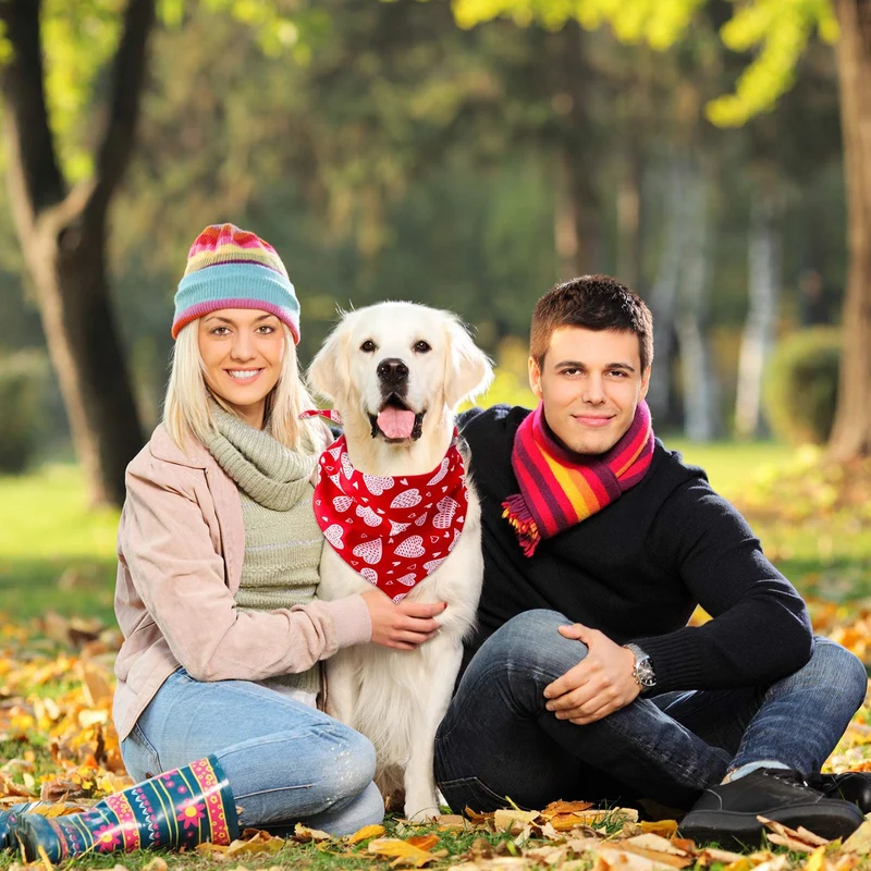 3 Pieces Dog Bandana Heart Dog Bandanas Scarf Washable Pet Scarf Valentine's Day Dog Kerchief for Dogs Cats Pets Festival Accessories, Red Black Pink