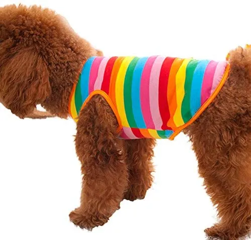 BUYITNOW - Chaleco de algodón transpirable sin mangas para mascotas, diseño de rayas arcoíris