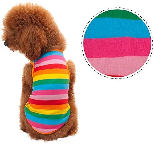 BUYITNOW - Chaleco de algodón transpirable sin mangas para mascotas, diseño de rayas arcoíris