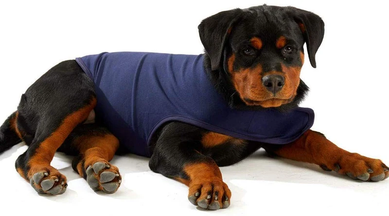 Furubaby Ansiedad Perro Abrigo una camisa Calm Down Perro Chaqueta para xs Pequeño Mediano Grande XL Perros | Color Sólido Azul Gris Verde Rosa Thunder Dog Wrap(Dark Blue)
