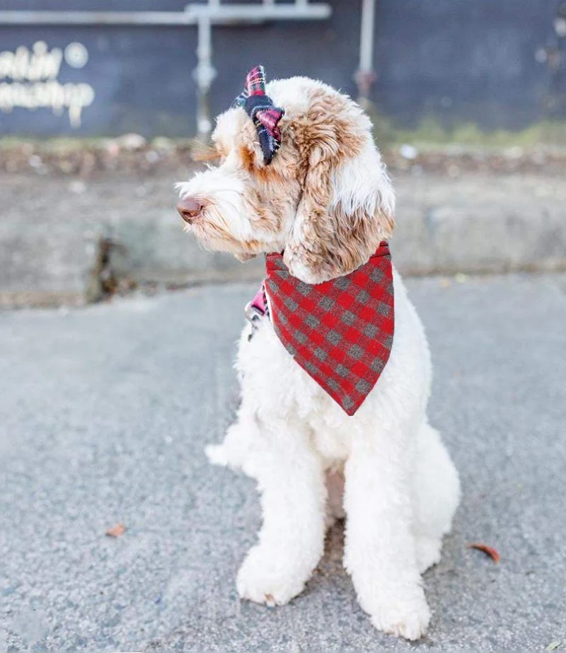 Bandana para perro, 4 unidades, lavable, reversible, a cuadros, para perros y gatos