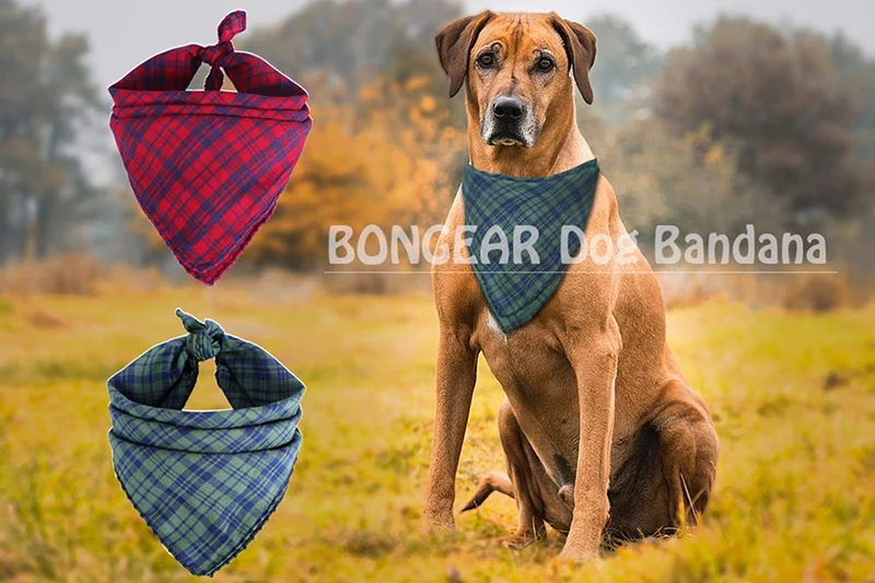 BONGEAR Bandanas para perro, paquete de 2, bufandas a cuadros para perros pequeños, medianos, grandes, gatos, pañuelos, mascotas, pañuelo