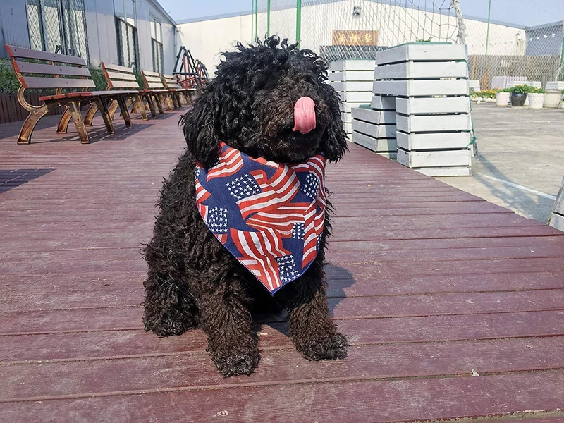 Coastal Cool juego de 10 día festivo mascota pañuelos para su perro o gato