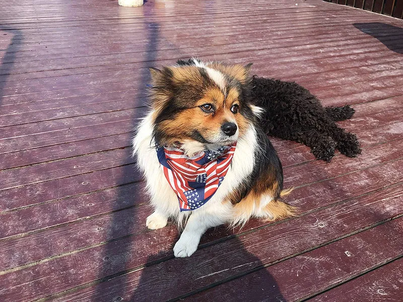 Coastal Cool juego de 10 día festivo mascota pañuelos para su perro o gato
