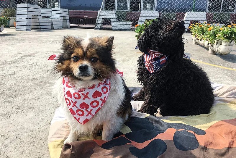 Coastal Cool juego de 10 día festivo mascota pañuelos para su perro o gato