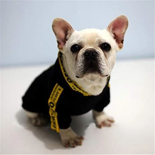 CT COUTUDI - Sudadera con capucha para perros pequeños, color amarillo y negro