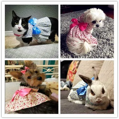 Petroom - Vestido de perro para cachorro, diseño de princesa floral para perros pequeños, gatos para verano