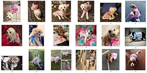 Petroom - Vestido de perro para cachorro, diseño de princesa floral para perros pequeños, gatos para verano
