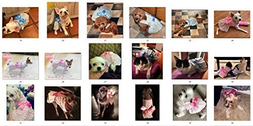 Petroom - Vestido de perro para cachorro, diseño de princesa floral para perros pequeños, gatos para verano