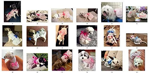 Petroom - Vestido de perro para cachorro, diseño de princesa floral para perros pequeños, gatos para verano