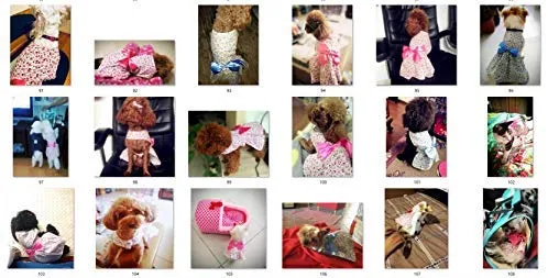 Petroom - Vestido de perro para cachorro, diseño de princesa floral para perros pequeños, gatos para verano