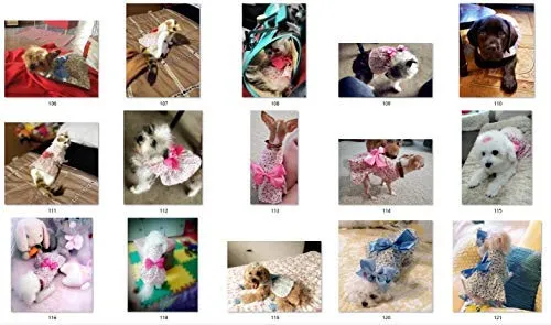 Petroom - Vestido de perro para cachorro, diseño de princesa floral para perros pequeños, gatos para verano