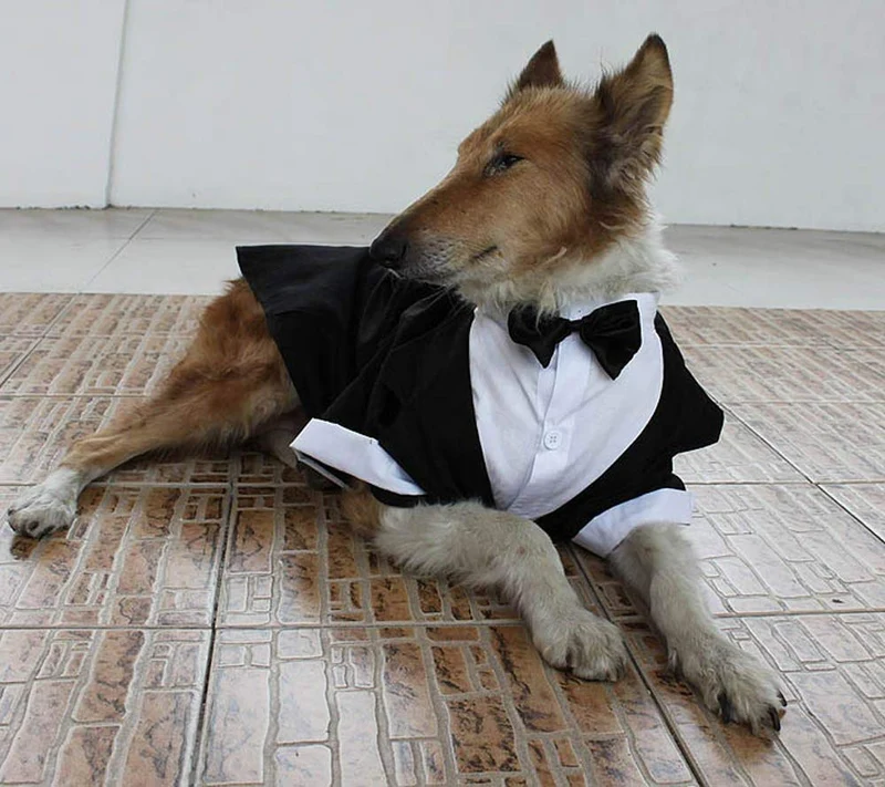 Evursua - Traje de esmoquin para perros grandes, para bodas y fiestas