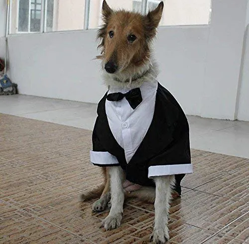 Evursua - Traje de esmoquin para perros grandes, para bodas y fiestas