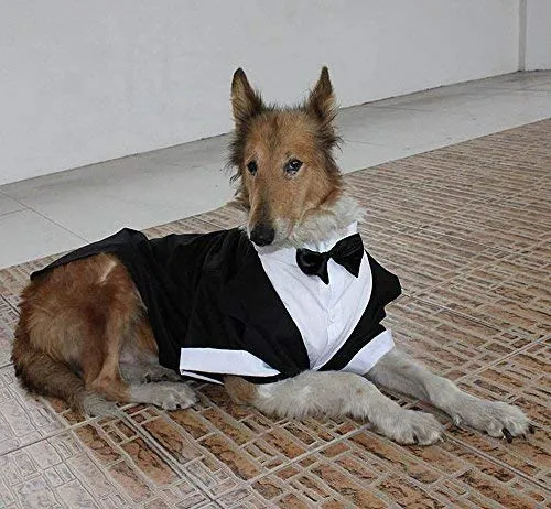 Evursua - Traje de esmoquin para perros grandes, para bodas y fiestas