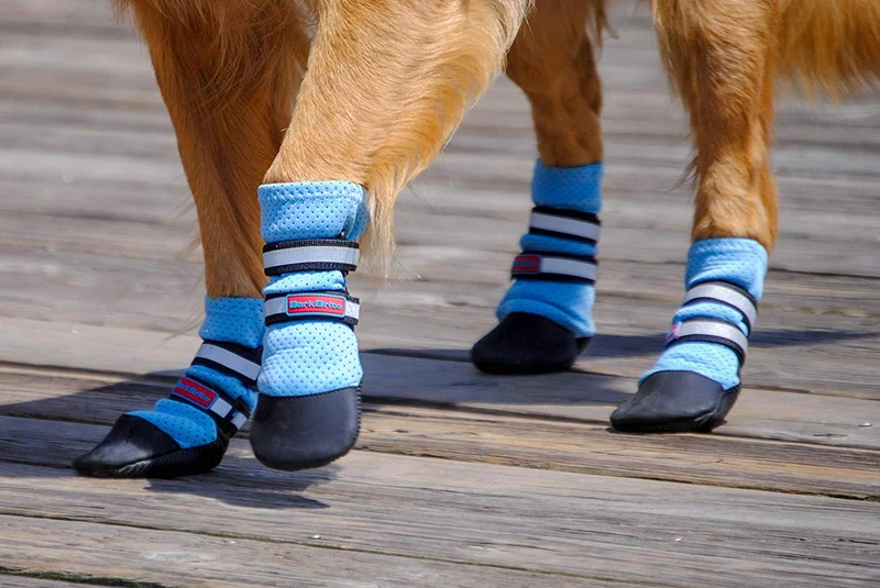 Bark Brite - Botas protectoras de neopreno para perro, diseño de huella de perro, 5 tamaños