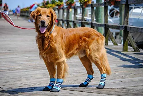 Bark Brite - Botas protectoras de neopreno para perro, diseño de huella de perro, 5 tamaños