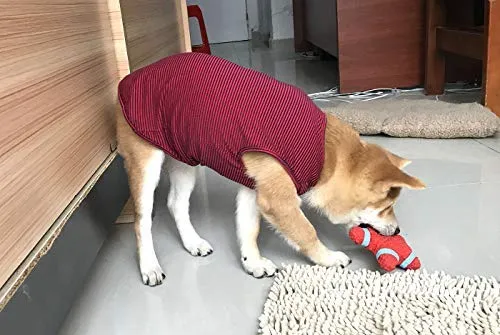 WEONE - Camisetas de algodón a rayas para perro, chaleco básico suave y transpirable