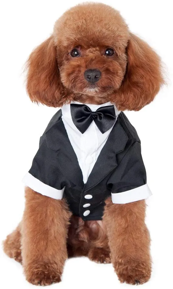 Kuoser - Camisa para perro, para cachorro o mascota, con corbata negra, ideal para bodas