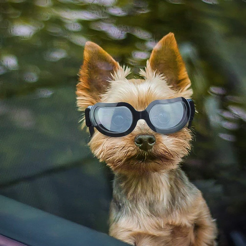Enjoying - Gafas de sol para perros pequeños, protección UV, resistente al viento, con correa ajustable para cachorro y gato