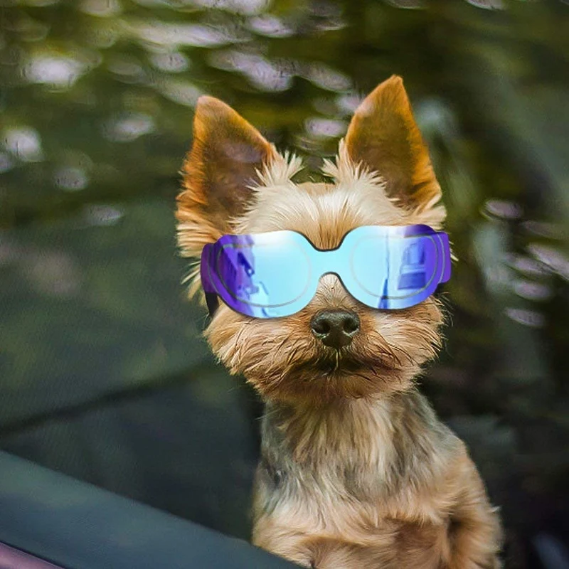 Enjoying - Gafas de sol para perros pequeños, protección UV, resistente al viento, con correa ajustable para cachorro y gato