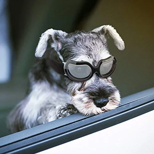 Enjoying - Gafas de sol para perros pequeños, protección UV, resistente al viento, con correa ajustable para cachorro y gato
