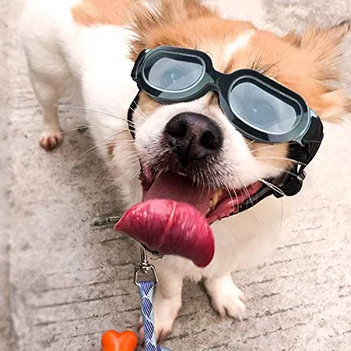 Enjoying - Gafas de sol para perros pequeños, protección UV, resistente al viento, con correa ajustable para cachorro y gato