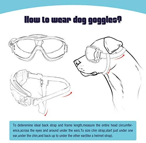 Enjoying - Gafas de sol para perros pequeños, protección UV, resistente al viento, con correa ajustable para cachorro y gato