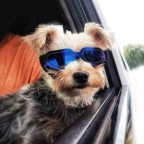 Enjoying - Gafas de sol para perros pequeños, protección UV, resistente al viento, con correa ajustable para cachorro y gato