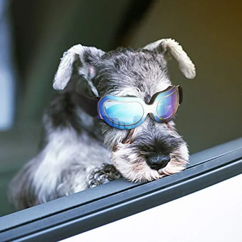 Enjoying - Gafas de sol para perros pequeños, protección UV, resistente al viento, con correa ajustable para cachorro y gato