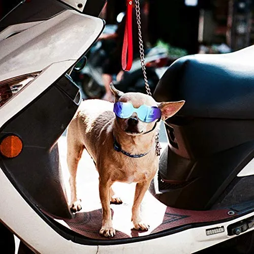Enjoying - Gafas de sol para perros pequeños, protección UV, resistente al viento, con correa ajustable para cachorro y gato