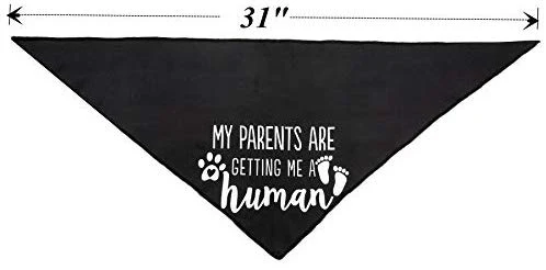 JPB My Parents are Getting Me a Human2 Pack Bandana para perro con revelación de género