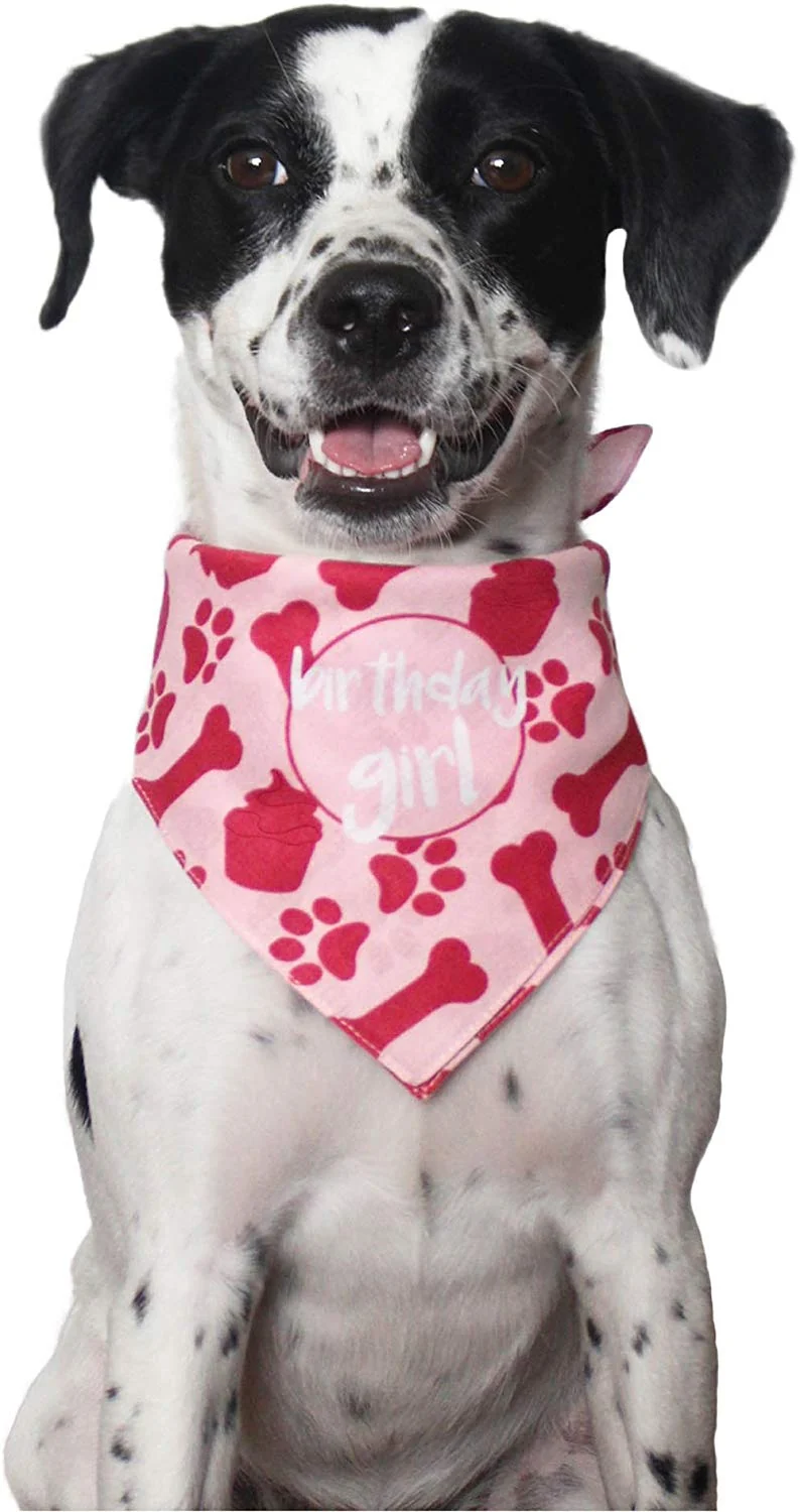 Hecho perro Cumpleaños Bandana – niña
