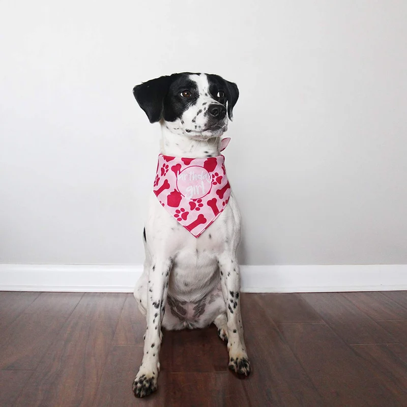 Hecho perro Cumpleaños Bandana – niña