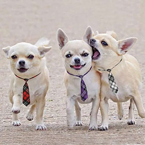 Segarty - Corbata para perro, tamaño mediano, tamaño grande, con lazos para perro, ajustable, para mascotas, gatos, perros, collares, para festivales de vacaciones, accesorios de aseo