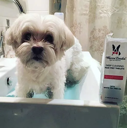 Warren London Paw Fizz Tabletas y pelotas de limpieza profunda para perros, ayuda a dejar de lamer las patas