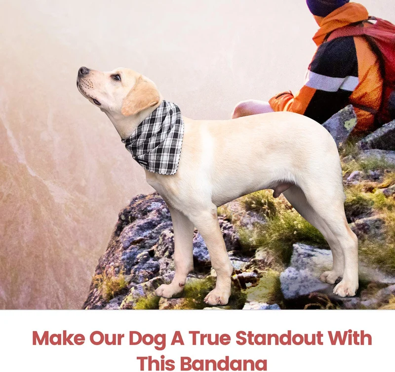 IOKHEIRA - Bandana de búfalo para perro, 5 unidades, doble reversible, para cachorro, tamaño grande, tamaño mediano, bandanas, bufandas de impresión a cuadros, accesorios para perros