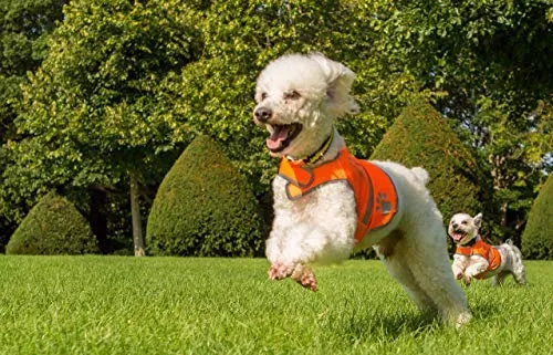 Chaleco reflectante de seguridad para perros, 5 tamaños para adaptarse a perros de 10 libras – 130 libras: alta visibilidad para actividades al aire libre día y noche, mantiene a tu perro visible, seguro de coches y accidentes de caza | Blaze Orange chale